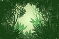 Beautiful view rain forest scene vector