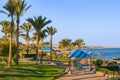 Beautiful view of Red Sea Sharm El sheik Egypt. View of the beach and palm tress on a sunny day Royalty Free Stock Photo