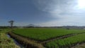 Beautiful view in rice field with bautiful sky and clouds. Mountain and blue sky Royalty Free Stock Photo