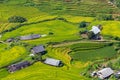 Beautiful view, Rice field terraces at Sapa, Vietnam