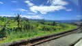 Beautiful view of rice fields and railroad tracks with a clear sky taken from inside the train Royalty Free Stock Photo