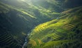 Beautiful view of rice terrace at Mu Cang Chai