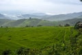 View of rice terraces in the morning at Bong Piang forest in Chiang Mai, Thailand.