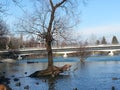 A beautiful view of the river and the bridge