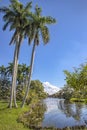 Beautiful view of river and palms in Laguna