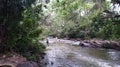 Beautiful view of river water flow