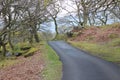 Beautiful view of road in the park of Snowdonia Royalty Free Stock Photo