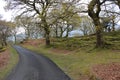Beautiful view of road in the park of Snowdonia