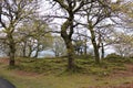 Beautiful view of road in the park of Snowdonia Royalty Free Stock Photo