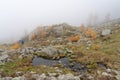Beautiful view of a rocky trail on a mountain on a foggy background Royalty Free Stock Photo