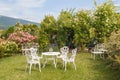Beautiful view of romanti english rose garden Royalty Free Stock Photo