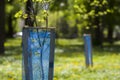 Beautiful view of row of young green saplings trees with blue plastic protective hedge on bright sunny day on blurred park, garden Royalty Free Stock Photo