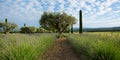 Agriculture near Maubec village in Provence