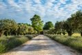 Winery in Provence near the village Maubec