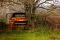 Beautiful view of a rusty and abandoned truck by a tree on a grass-covered field