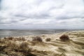 Beautiful view on sand dunes of the Curonian spit. Nida in Lithuania and Kaliningrad region in Russia Royalty Free Stock Photo