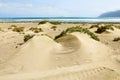 Beautiful view of sand dunes with green vegetation and Atlantic Ocean on the background, Lanzarote, Spain Royalty Free Stock Photo