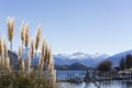 Beautiful view on scenic lake Wanaka, New Zealand. Lake Wanaka is an attractive touristic destination on the South Island.