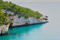 Beautiful view of the sea and the rocky coast of Gargano, Apulia, Italy