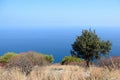 Beautiful view of the sea from the top of La Rocca mountain near the town of Cefalu. Italy Royalty Free Stock Photo