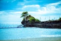 Bamboo bridge with tree and blue skies