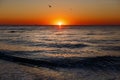 Beautiful view of seagulls flying in sky at sunrise in sea. Birds in colorful sky during sun rise, atmospheric moment. Sunset, Royalty Free Stock Photo