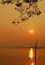 Beautiful view shadows Light Long-tailed boat sunrise in dam Srinakarin National park Kanchanaburi, Thailand Royalty Free Stock Photo