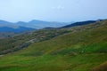 Beautiful view with sheep in Bucegi mountains