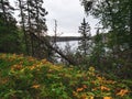 Beautiful view on the Shining Stone Hiking Trail during the summer at the Blue Lakes, Duck Mountain Provincial Park, Manitoba, Can Royalty Free Stock Photo