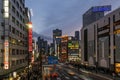 Beautiful view of Shinjuku district in the blue hour light, Tokyo, Japan