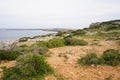 Beautiful view of the shore of a lake covered in the grass under the blue sky Royalty Free Stock Photo