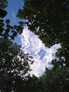 Beautiful view of sky with a shot with trees.awesome!!!!