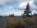 Beautiful view from Skyline Trail in Cape Breton National Park, Nova Scotia, Canada Royalty Free Stock Photo