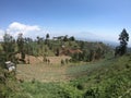 beautiful view on the slope of Mount bromo