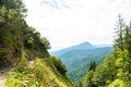 Beautiful view on a small Herzogstand mountain path, trees and nearby mountains near Walchensee lake, Bavaria, Germany