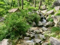 Beautiful view of small river with wooden hut in behind of green leaves plant with selective focus Royalty Free Stock Photo