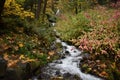 Beautiful view of a small waterfall cascading with fall plants around it in Portland, Oregon Royalty Free Stock Photo