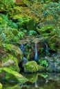 Beautiful View Of A Small Waterfall In A Forest On A Summer Day. Peaceful View Of Gently Flowing Water Into A Pond In A