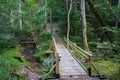 Beautiful view of a small wooden bridge over a stream in the forest in Gauja National Park in Latvia Royalty Free Stock Photo