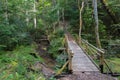 Beautiful view of a small wooden bridge over a stream in the forest in Gauja National Park in Latvia Royalty Free Stock Photo