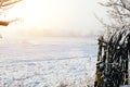 Sunny morning on a snowy field