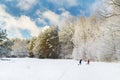 Beautiful view of snow covered forest. Rime ice and hoar frost covering trees. Chilly winter day. Winter landscape near Vilnius,