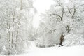 Beautiful view of snow covered forest. Rime ice and hoar frost covering trees. Chilly winter day. Winter landscape near Vilnius,