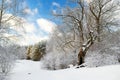 Beautiful view of snow covered forest. Rime ice and hoar frost covering trees. Chilly winter day. Winter landscape near Vilnius,