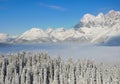 Beautiful view of the snow-covered spruces, mountains and low clouds in winter Royalty Free Stock Photo