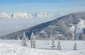 Beautiful view of the snow-covered spruces, mountains and low clouds in winter Royalty Free Stock Photo