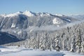 Beautiful view of the snow-covered spruces, mountains and low clouds in winter Royalty Free Stock Photo