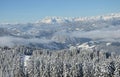Beautiful view of the snow-covered spruces, mountains and low clouds in winter Royalty Free Stock Photo