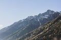 View of snowy Alps mountains and coniferous trees