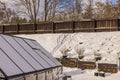 Beautiful view of snowy backyard on bright winter day.